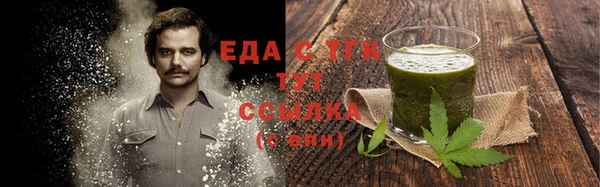 индика Аркадак