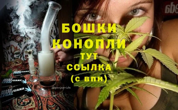 индика Аркадак