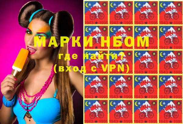 индика Аркадак