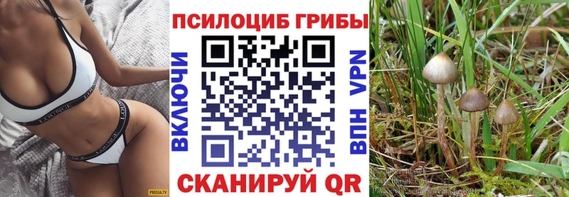 закладка  Калач-на-Дону  Псилоцибиновые грибы Psilocybe 